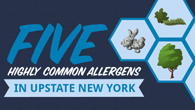 Five highly common allergens in upstate New York - Appolo Heating