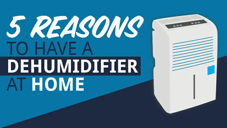 5-Reasons-to-have-Dehumidifier_Blog-Header-1