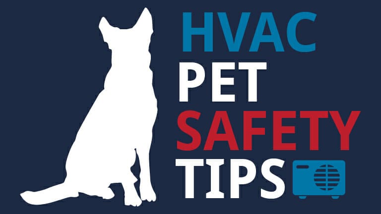 BlogHeader_HVACPetTips_AND_SmellsLikeGas-01-1